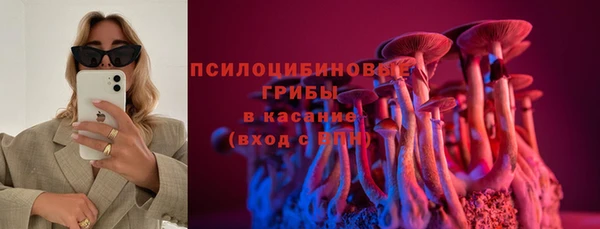 mdpv Киреевск