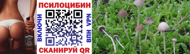 Псилоцибиновые грибы Psilocybine cubensis  Купить где  Лангепас 